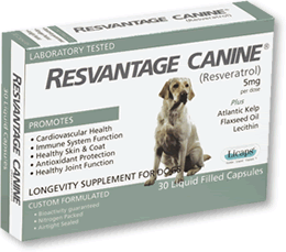 Resvantage Canine